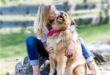 Eine Frau sitzt auf einem Felsen und umarmt einen glücklichen Hund. Beide strahlen Freude und Zuneigung aus, umgeben von einer grünen Wiese.