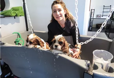 A woman stands next to two puppies sitting in a large tub. The tub is being filled with water while the woman takes care of the animals.