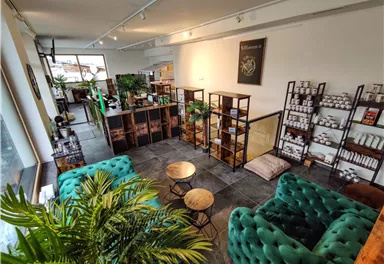 A cozy café with green sofas and plants. Shelves with various products are visible.