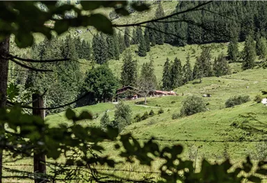 A picturesque landscape with green meadows and forest. In the background, a unique wooden house is visible.