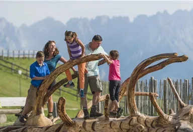 A family is playing on a large wooden playground in the mountains. In the background, beautiful mountainous landscapes can be seen.