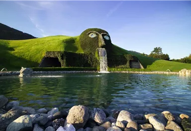A green hill with a face made of bushes and a waterfall. In the foreground, there is a calm pond with stones.