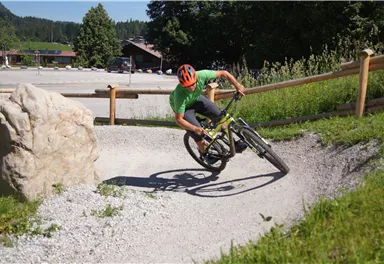 A cyclist is riding quickly on a winding path. The surroundings are green, with a rock and trees in the background.