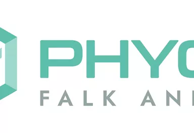 Ein modernes Logo von Phyos Falk Andree mit stilisierten Figuren und einer geometrischen Form. Die Farbtöne sind in Blau- und Grüntönen gehalten.