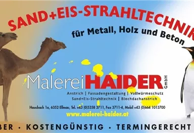 An advertising banner featuring camels and penguins that promotes services in the field of sand and ice blasting technology for metal, wood, and concrete. The background is colorfully designed.