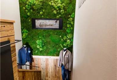 Ein stilvoller Treppenabgang mit einer begrünten Wand und Holzverkleidung. An den Seiten hängen Herrenbekleidungen.