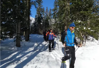 A group of people is hiking through snowy landscapes in the forest. The sun is shining, and the surroundings are surrounded by tall trees.
