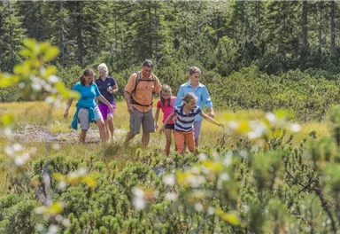 A family is hiking through a green landscape. They are enjoying nature and the time spent together outdoors.