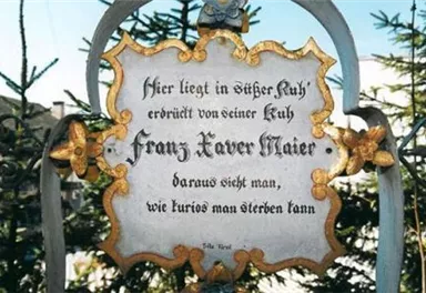 A historical plaque on a gravestone with the name Franz Xaver Maier. It contains an inscription that refers to his life and death.