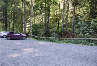 Ein Parkplatz umgeben von hohen Bäumen. Im Vordergrund steht ein lila Auto auf einem Kiesplatz.
