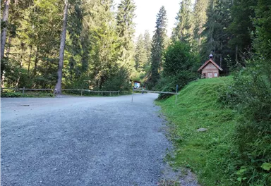 Ein ruhiger Waldweg mit Kies und grünen Wiesen. Im Hintergrund ist eine kleine Hütte zu sehen, umgeben von Bäumen.