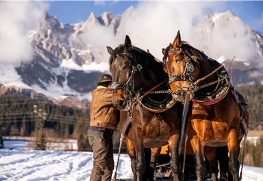 Ein Mann steht neben zwei Pferden in der Schneeunterlage. Im Hintergrund sind schneebedeckte Berge und ein klarer Himmel zu sehen.