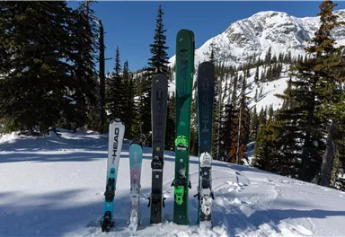 A group of skis stands in fresh snow, surrounded by tall fir trees. Snow-covered mountains are visible in the background.
