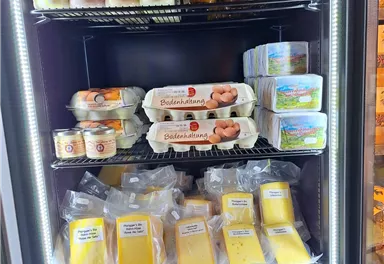A refrigerator full of food specialties. It contains bottles, eggs, and various types of cheese.