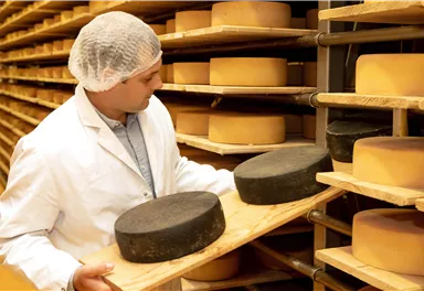 Ein Käsehersteller in Schutzkleidung bearbeitet Käseräder in einem Lager. Im Hintergrund sind viele Käseräder ordentlich aufgereiht.