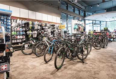 Ein Fahrradgeschäft mit vielen Mountainbikes und Sportzubehör. Die große Fensterfront sorgt für viel Tageslicht im Raum.