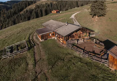 A rustic wooden farm on a green meadow. In the background, forests and a path are visible.