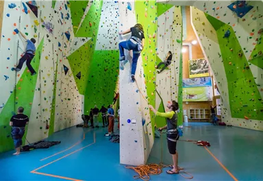 A sports climbing hall with colorful climbing walls and several climbers. Some people are belaying the climbers while others are climbing on the wall.