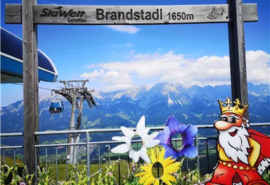 A viewpoint at Brandstadl with a sign and a view of the mountains. Colorful flowers and a funny cardboard king are in the foreground.