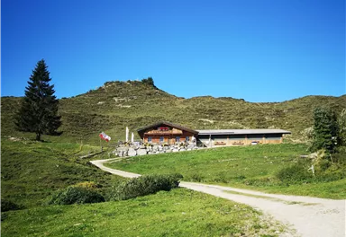 Eine gemütliche Berghütte umgeben von grünen Wiesen und einem klaren blauen Himmel. Im Hintergrund sind sanfte Hügel und ein einzelner Baum sichtbar.