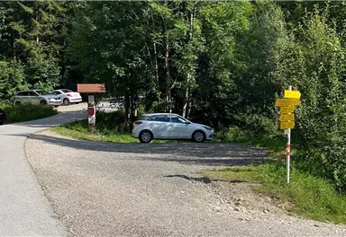 Ein kurvenreicher Weg in einem Waldgebiet mit vielen Bäumen. Ein weißes Auto steht neben einem Wegweiser mit gelben Markierungen.