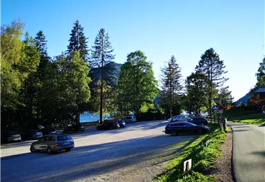 A quiet street surrounded by trees and parking lots. The sun is shining and the sky is clear blue.