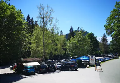 A parking lot surrounded by green trees and blue sky. Many cars are visible, and the surroundings look inviting.