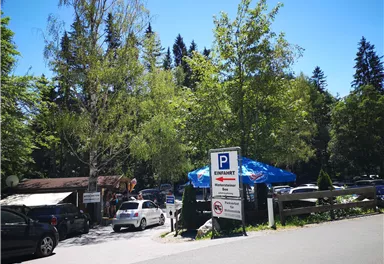 A parking lot in a green environment with many trees. Several cars are parked in the lot, and in the background, there is a small building with a blue roof.