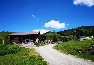 A cozy wooden house in a green landscape with a clear blue sky. The path leads to the mountain hut, surrounded by trees and meadows.