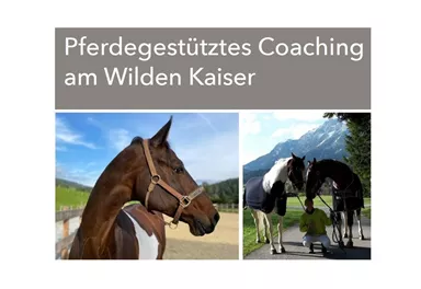 Pferdegestütztes Coaching am Wilden Kaiser mit einem Pferd und Teilnehmern. Die Bilder zeigen eine idyllische Umgebung in den Bergen.