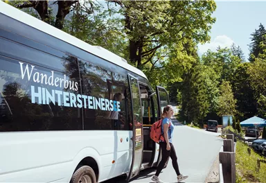Ein Wanderbus steht an einer ruhigen Straße umgeben von Bäumen. Eine Person mit einem Rucksack steigt aus, bereit für eine Wanderung.