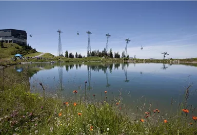 A picturesque lake surrounded by colorful flowers and green meadows. In the background, gondolas and a mountain station can be seen.