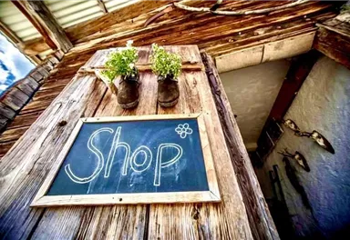A rustic wooden sign with the inscription "Shop" hangs on a wall. Above it, two pots with fresh plants are attached.