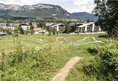 A picturesque landscape with green meadows and mountains in the background. In the foreground, a path can be seen leading to a winding cycling circuit.