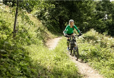 A cyclist is riding on a narrow path through a green landscape. The surroundings are surrounded by trees and bushes, creating a relaxing atmosphere.
