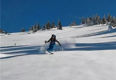 Eine Person fährt Ski auf einem schneebedeckten Hang. Der Himmel ist klar und blau, umgeben von verschneiten Bäumen.
