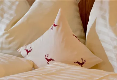 A comfortable bed with striped pillows and a decorative pillow featuring reindeer prints. The atmosphere is cozy and inviting.