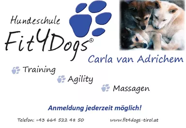 Eine Hunde-Schule mit Fokus auf Training, Agility und Massagen. Das Bild zeigt niedliche Welpen, die zusammen ruhen.