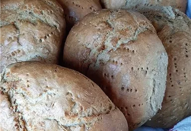 A basket with fresh bread having a rustic, golden-brown crust. The breads are evenly shaped and have a decorative surface texture.