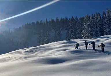 Eine Gruppe von Personen wandert durch eine schneebedeckte Landschaft. Im Hintergrund sind verschneite Bäume und ein klarer blauer Himmel zu sehen.