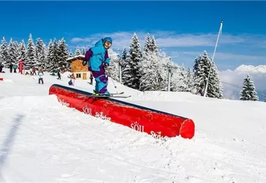 A skier in a colorful suit is skiing on a snow beam. In the background, snow-covered mountains and coniferous trees can be seen.