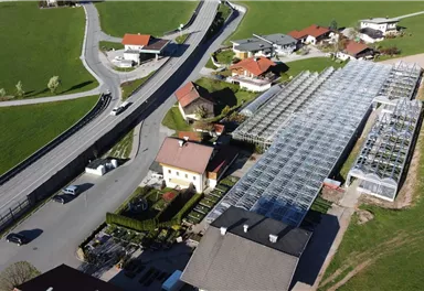 An aerial shot of a rural area with residential houses and a large greenhouse. In the foreground, a road runs through, while in the background, green meadows are visible.