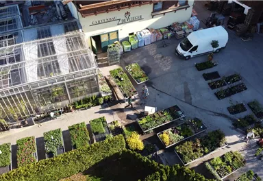 A garden with various plants and beds, surrounded by a greenhouse. A van is parked near the business entrance.