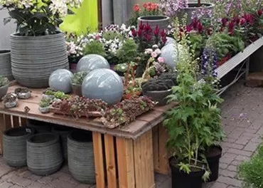 An attractive plant stand with colorful flowers and decorative pots. The wooden table is decorated with various plants and stones.
