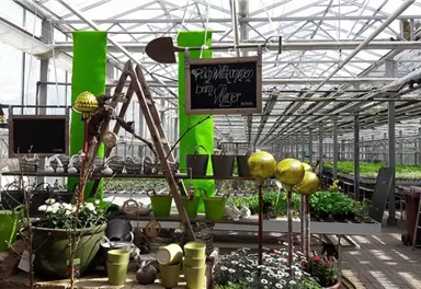 A greenhouse with many plants and colorful pots. There are also decorative elements and a sign reading "Welcome to [Name]."