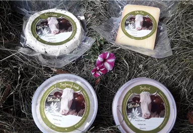 Die Abbildung zeigt verschiedene Käsesorten mit Etiketten auf einer Grasfläche. Im Vordergrund liegt eine Blume neben den Käseverpackungen.