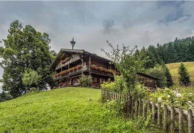 A traditional wooden house surrounded by green meadows and trees. In the background, gentle hills and a cloudy sky can be seen.