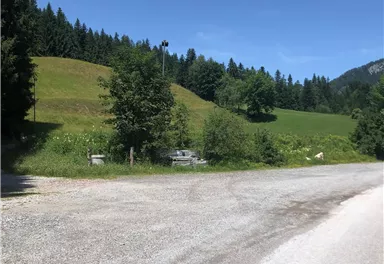 A tranquil, green landscape with gentle hills and dense forests. The path leads to an open area, ideal for a walk in nature.