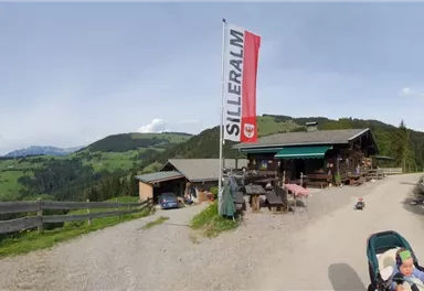 Ein gemütliches Berghaus mit einer großen Fahne und einer malerischen Aussicht auf die grünen Hügel. Der Weg zum Haus ist von Bäumen umgeben und lädt zum Verweilen ein.