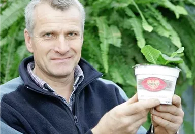 A man is holding a flower pot with a young plant. In the background, green plants can be seen.